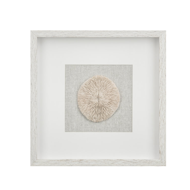 Highland Dunes Sea Urchin Wall Décor with Wash Frame & Reviews Wayfair